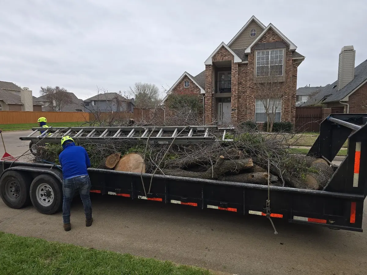 Expert Lot Clearing with proper safety equipment in Pembina